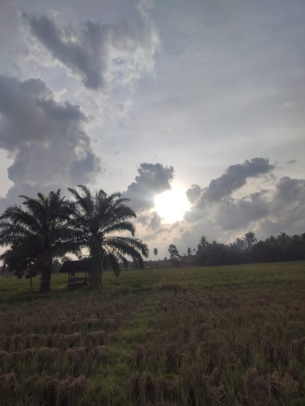 Rural Indonesian scenes captured in Aceh villages