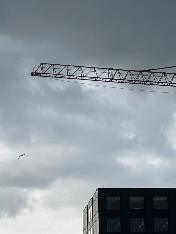Amsterdam residents document ordinary life moments across city