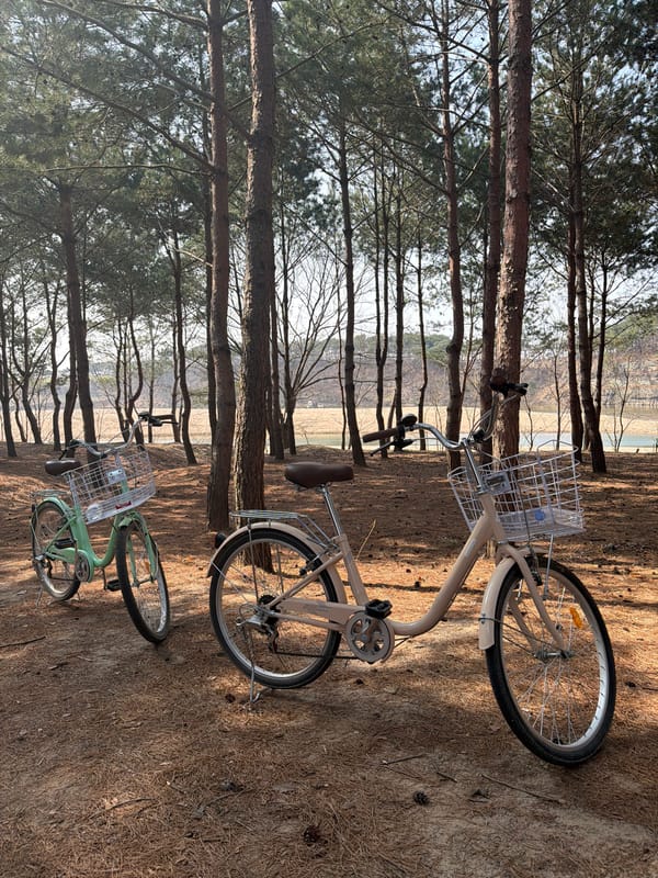 Morning cultural tourism and cycling in historic Andong-si