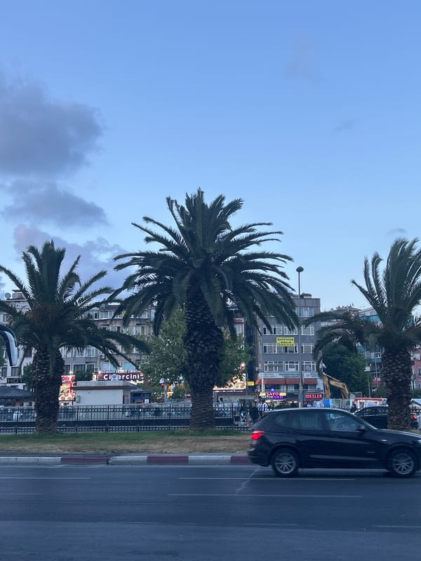 Evening street life documented across Istanbul districts