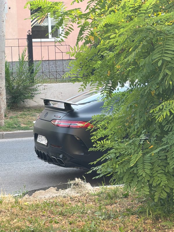 Dogs on a walk near parked cars in Rostov-on-Don