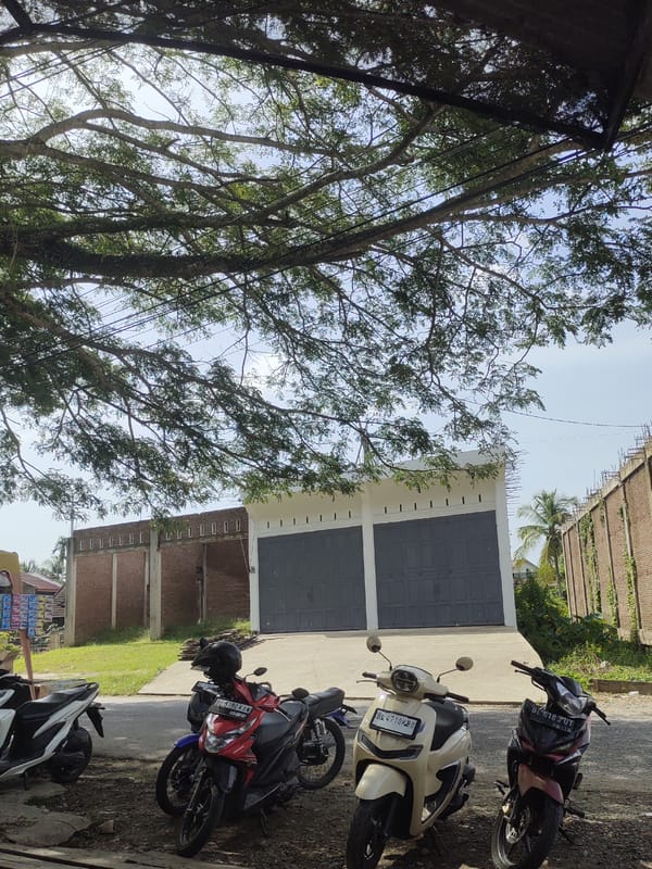 Street scene and traditional wrapped foods documented in Mee, Indonesia