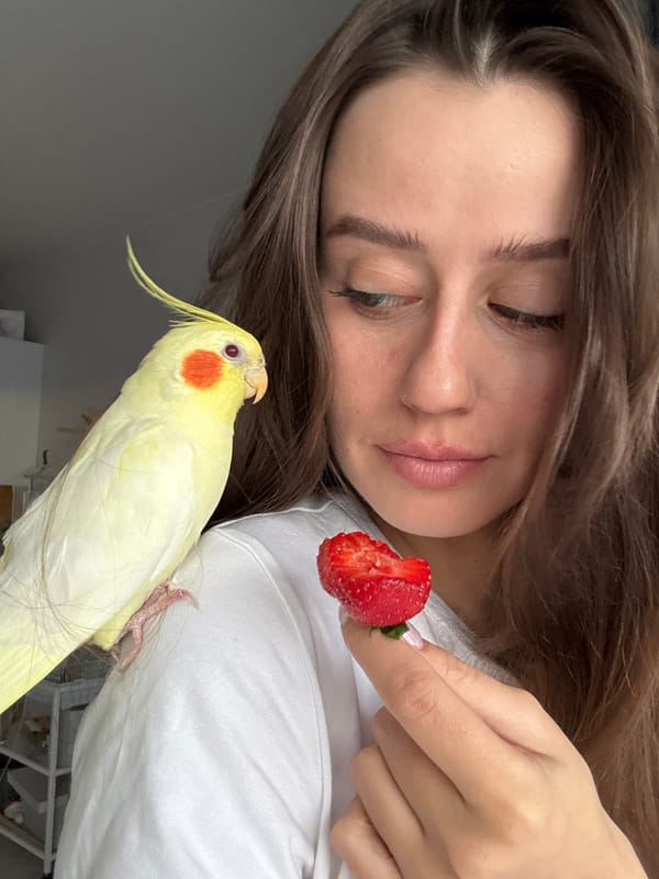Woman shares strawberries with pet cockatiel in Krasnoyarsk apartment