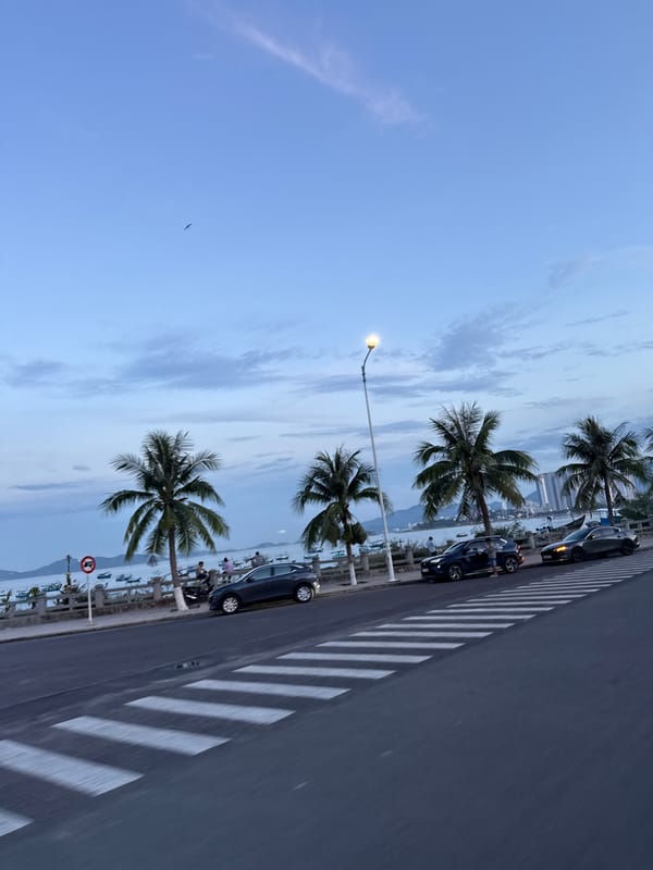 Everyday scooter traffic on a coastal Nha Trang street