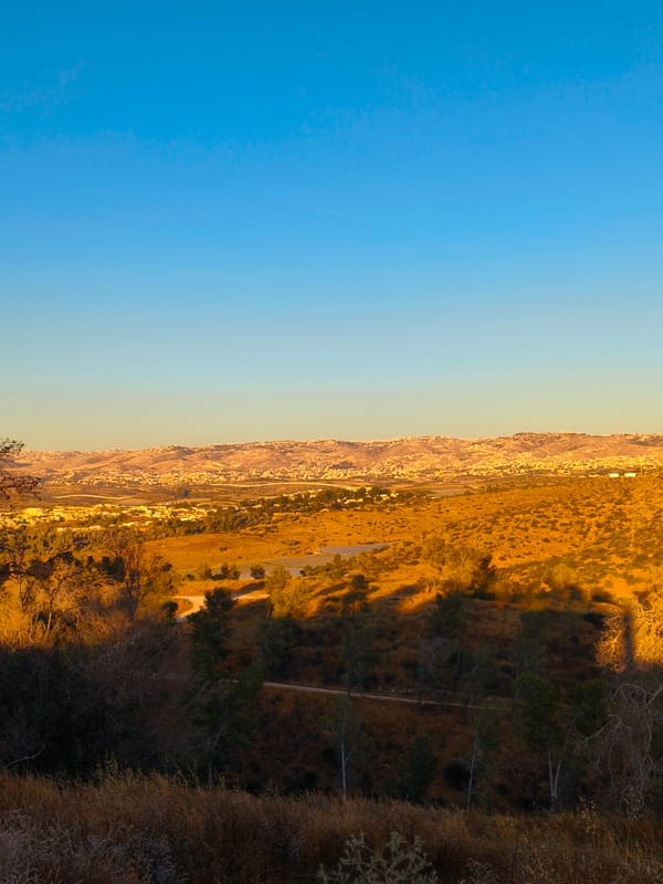 Golden hour landscapes photographed in Lachish Regional Council, Israel