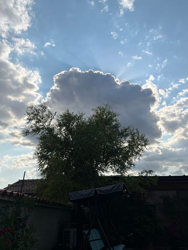 A Svilengrad backyard and home, inside and out, summer afternoon