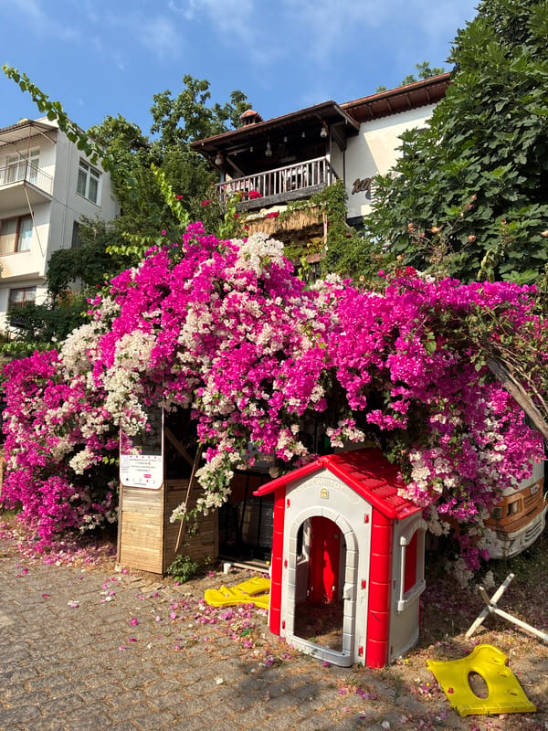Bougainvillea walls and naval vessels in Alanya harbor