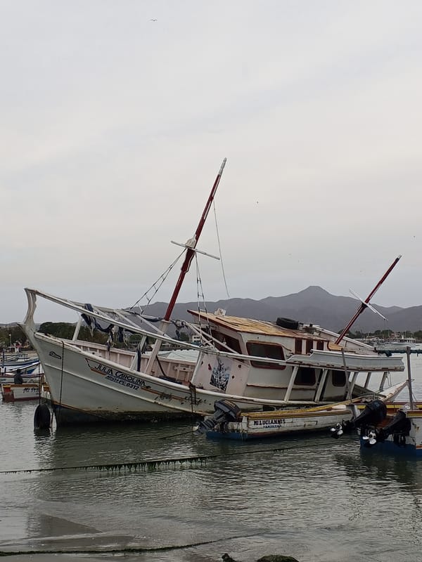Fishing boats moored at Juan Griego waterfront, Venezuela
