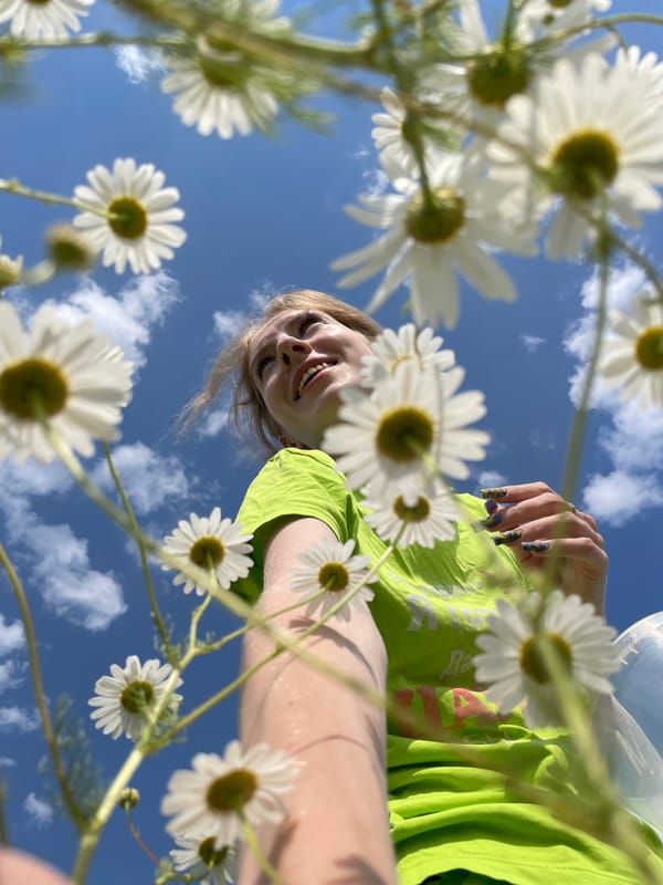 Sunny afternoon in a daisy field, Сям-Можга
