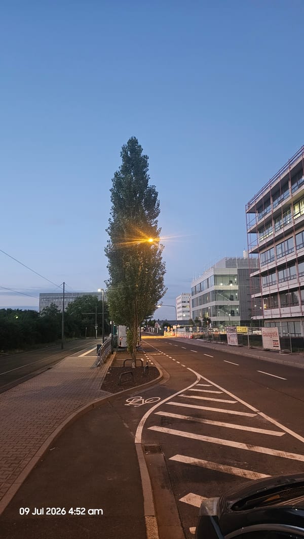Frankfurt street corner at dusk, tree lit by lamplight