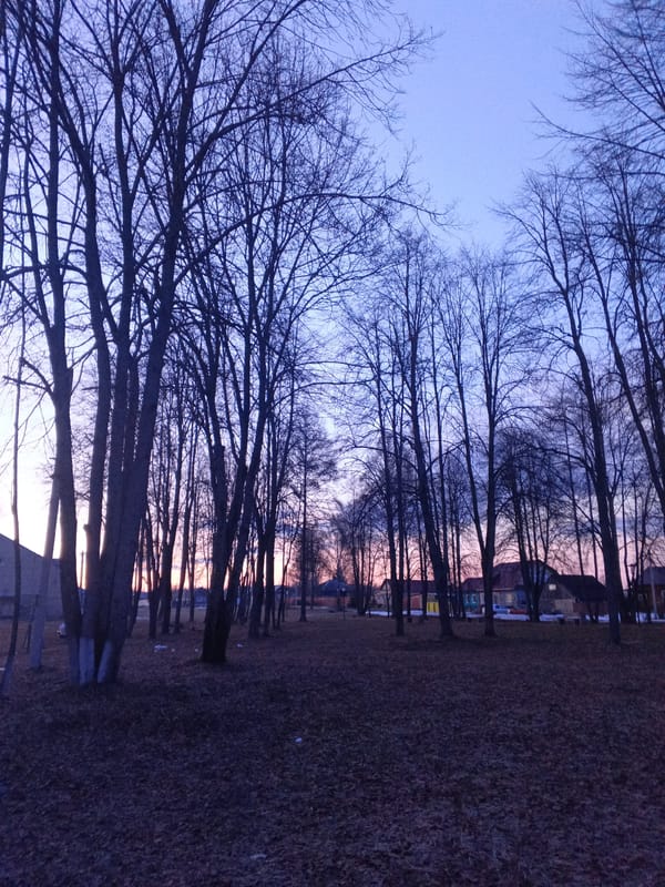 Autumn park scene captured at dusk in Красный Маяк
