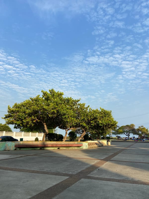 Coastal conditions documented in Higuerote, Venezuela evening hours