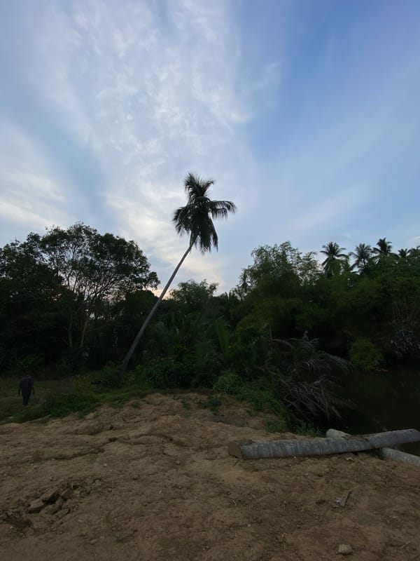 Rural Indonesian landscapes documented in Tanjongkapai morning scenes