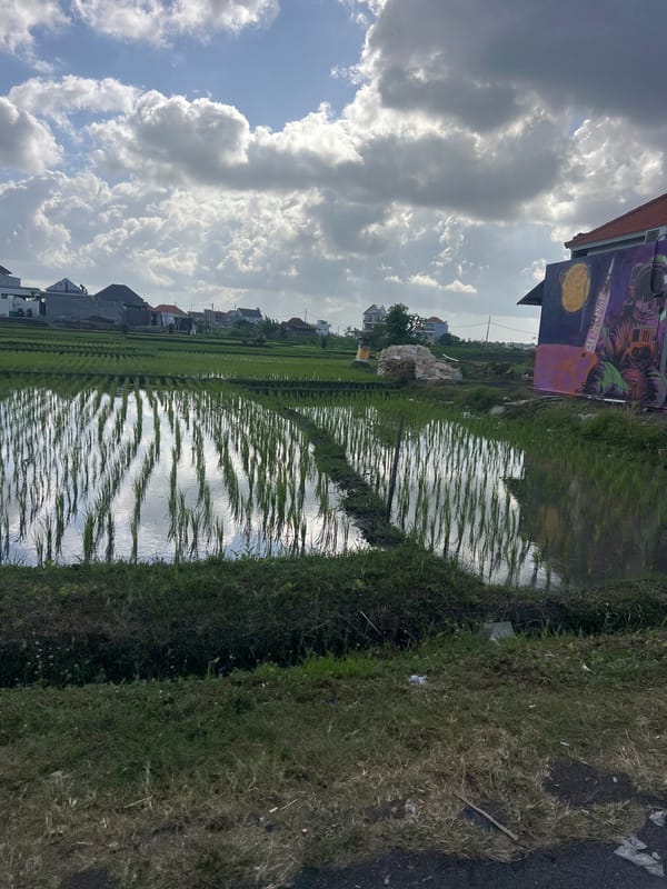 Flooded rice paddies under a patchy sky in Mengwi, Bali