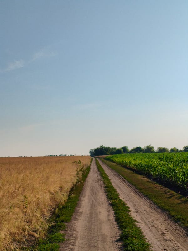 Summer afternoon on the rural roads and fields of Ustyvytsya