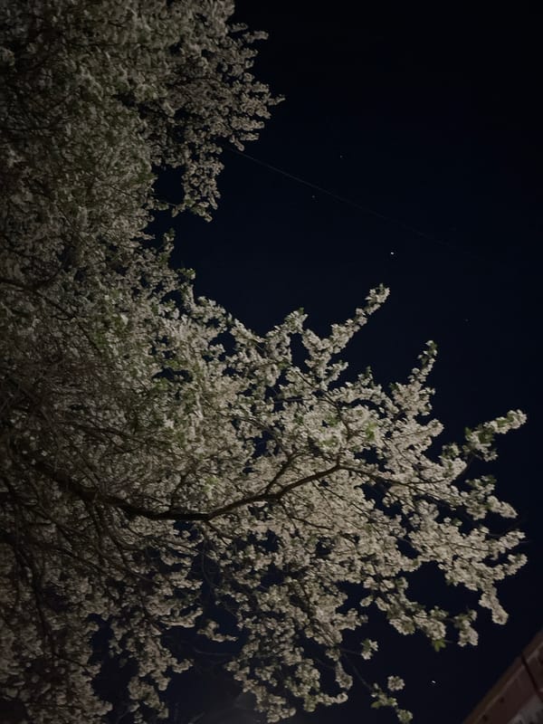 Spring evening scenes documented in Sofia, Bulgaria