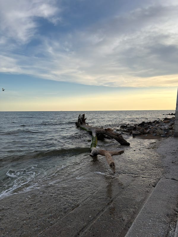 Coastal scenes documented in Alexandroupolis, Greece during golden hour
