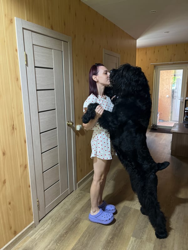 Morning forest walk in Нагорный with a big black dog