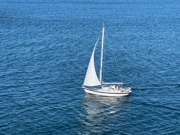 Ferry and sailboat traffic off the Swedish coast