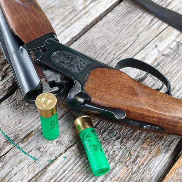 Target practice session conducted in rural Belarus