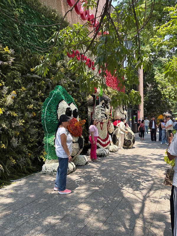 Floral displays spotted on Mexico City walkway and building