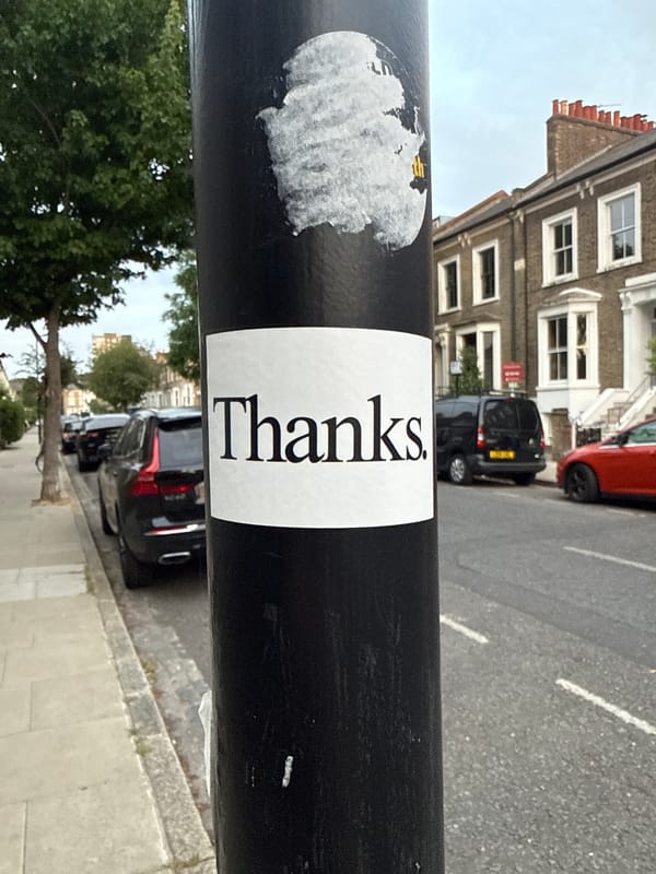 London evening captures: gratitude sticker and collared cat sighting