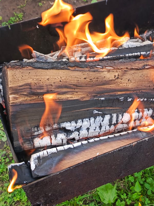 Lazy summer morning with a dog, garden details, and an open fire