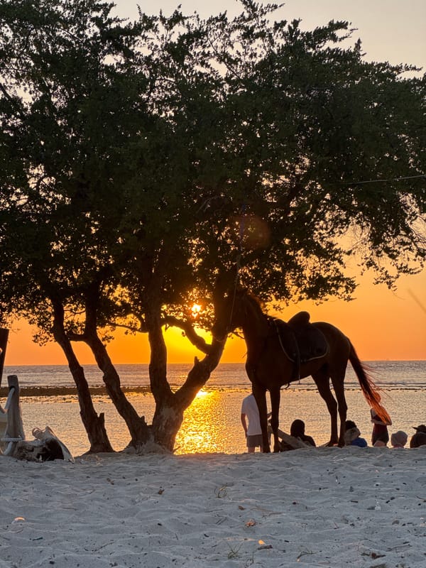 Sunset beach, saddled horse, and grilled food on the table