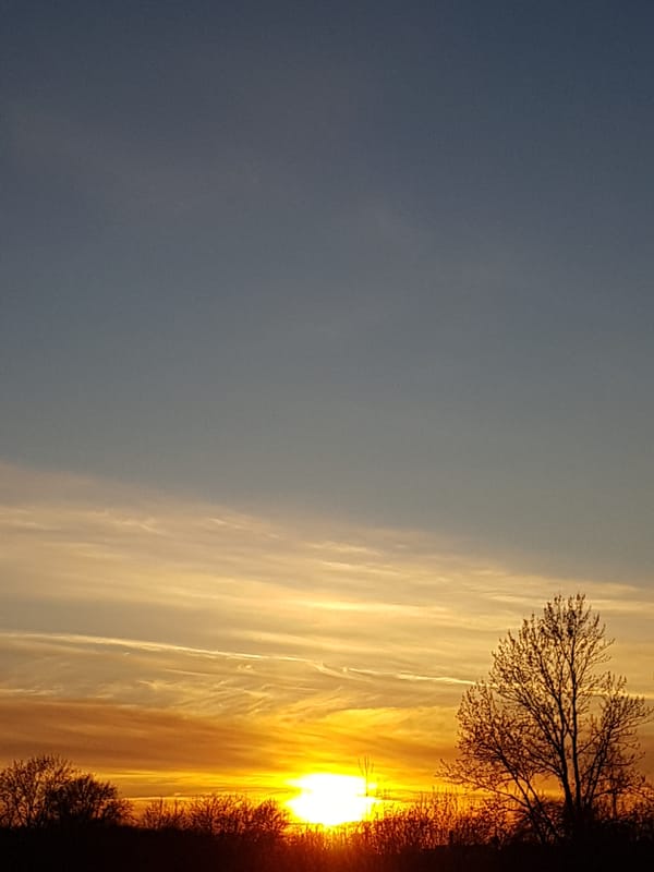 Bright sunset observed in Saint Petersburg, Russia