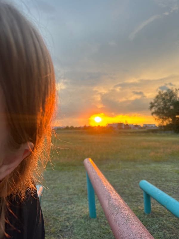 Warm sunset over a rural Belarusian field and distant buildings