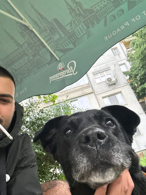 Man and aging black dog photographed together in Plovdiv
