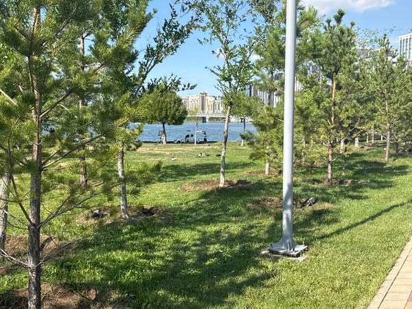 Sunny morning stroll through a scenic urban botanical park
