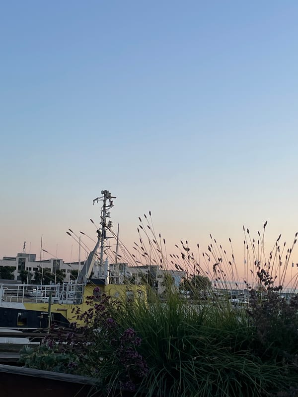 Tallinn harbor at dusk, soft gradient sky over the marina