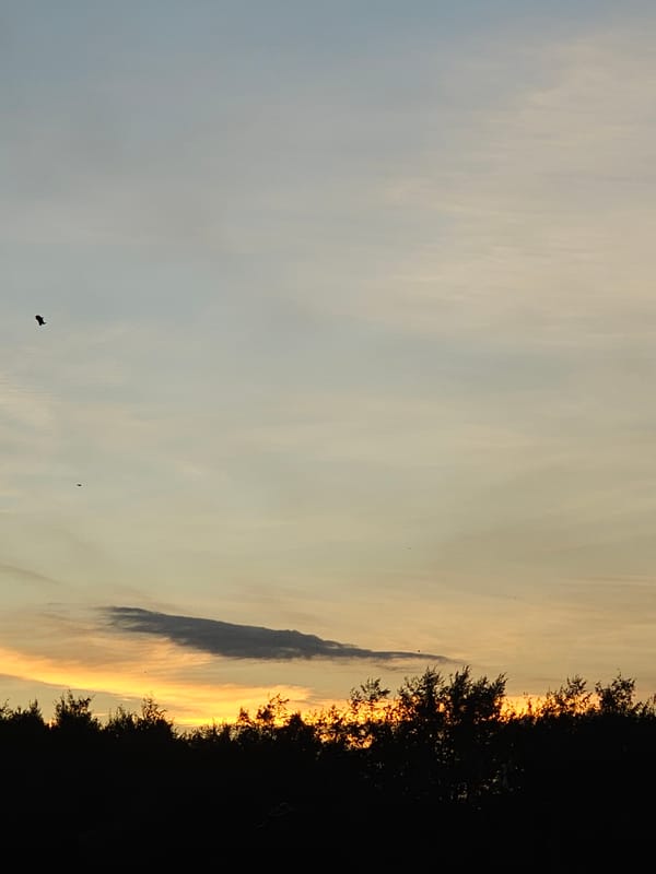 Low tide, kites, and sunset at a Denpasar beach