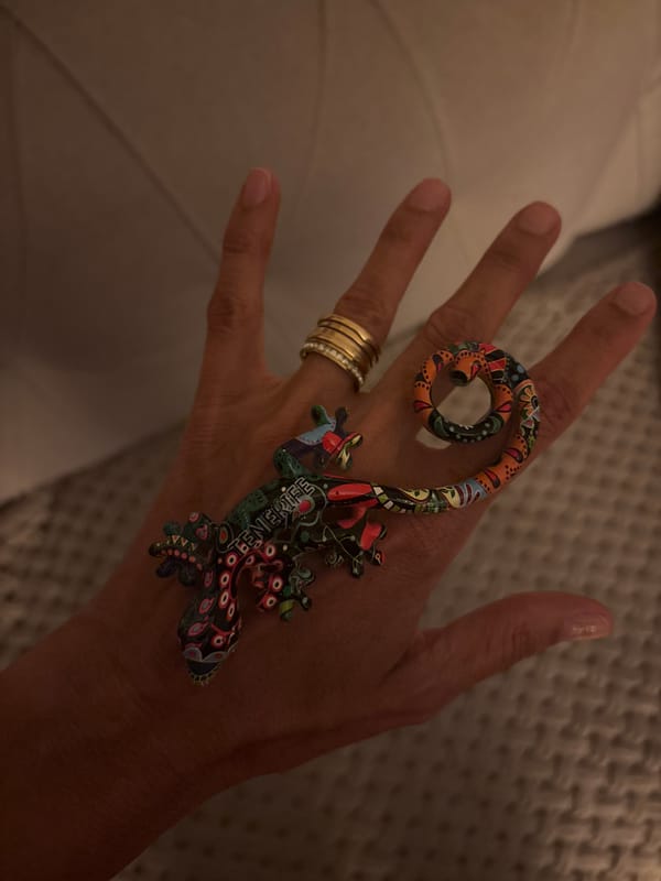 Person spotted wearing distinctive gecko ring in Minsk