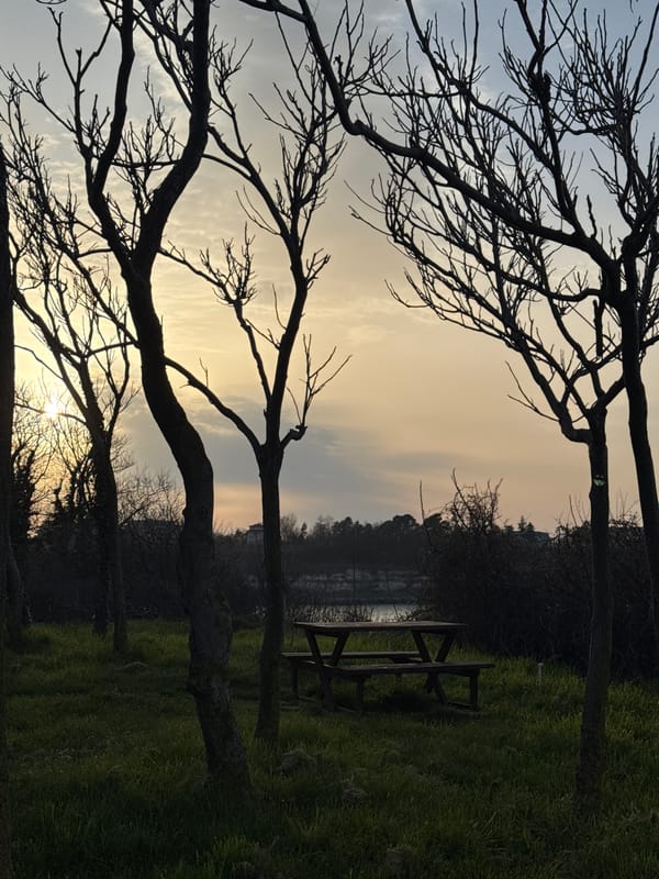 Dog walker enjoys sunset stroll along Bulgarian coastal cliffs