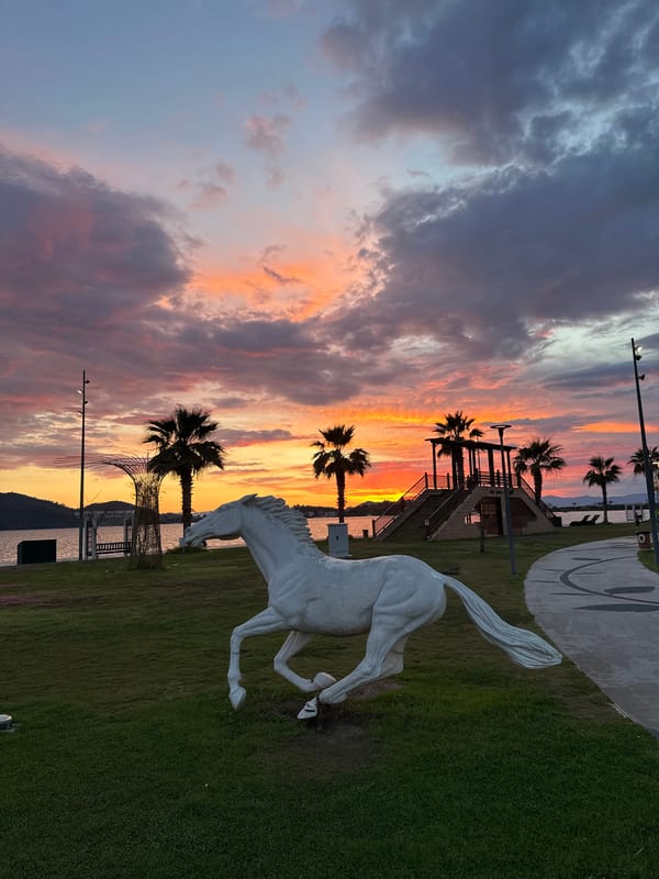 Sunset skatepark session documented in Fethiye, Turkey