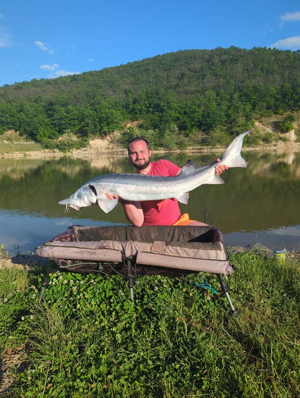 Angler lands multiple large fish during afternoon session in Bulgaria
