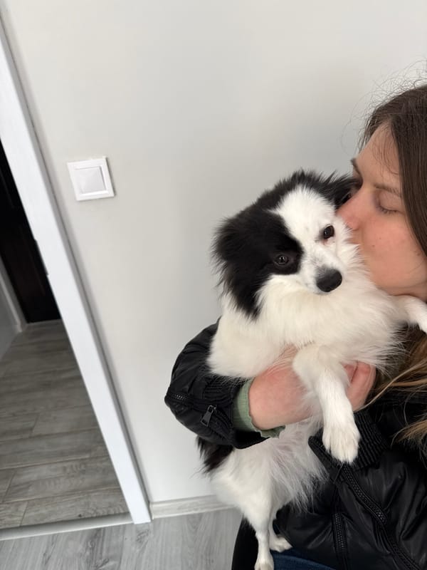 Man takes multiple mirror selfies at home with dog
