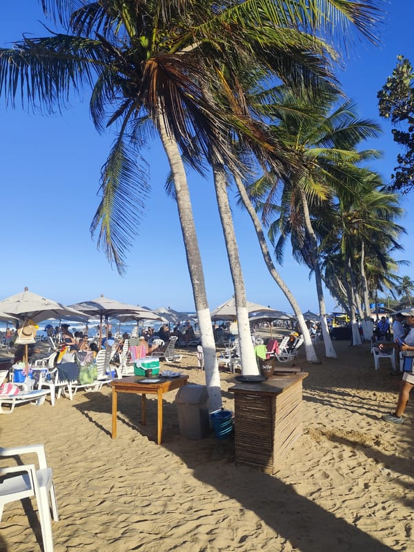 Clear day at El Conchal beach with painted palms