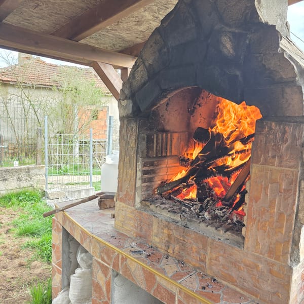 Spring blooms and rural life documented in Zheleznitsa, Bulgaria
