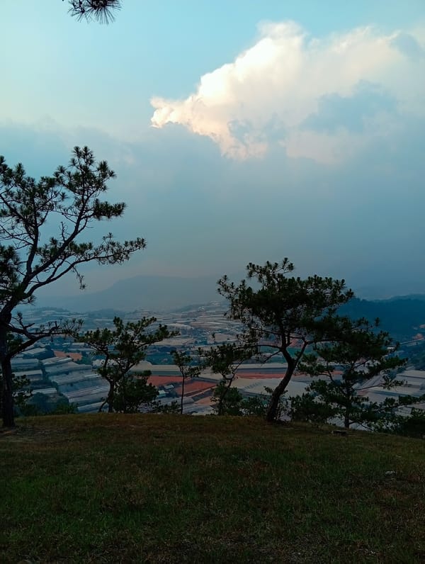Misty morning landscape views captured in Lạc Dương Vietnam