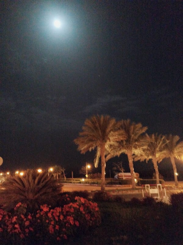 Woman's Evening Shopping Trip in Safaga, Egypt