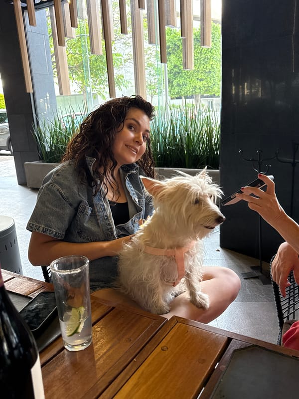 Diners enjoy pet-friendly Japanese meal at Mexican restaurant
