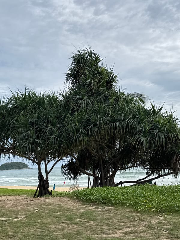 Overcast morning at Karon Beach, quiet and unhurried