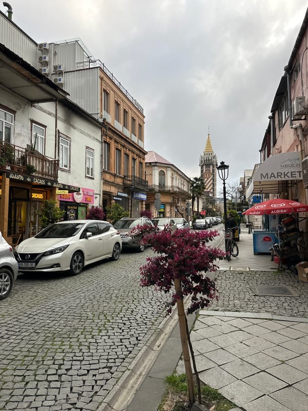 Upscale restaurant dining experience captured in Batumi, Georgia