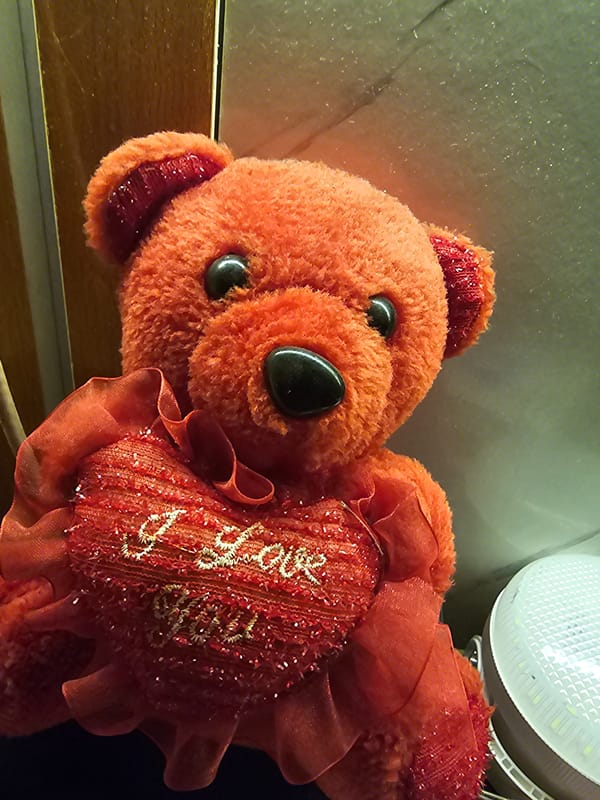 Orange teddy bear with "I Love You" pillow captured in Ota