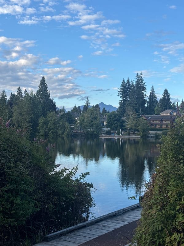 Canada geese and calm water at a Coquitlam park