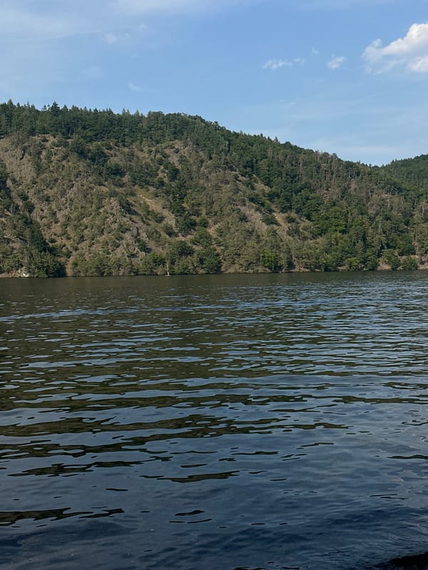 A relaxed day on the water — jet skis, sailboats, and forested shores