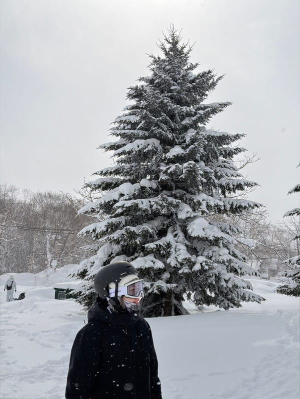 Winter sports activity continues at Niseko during heavy snowfall